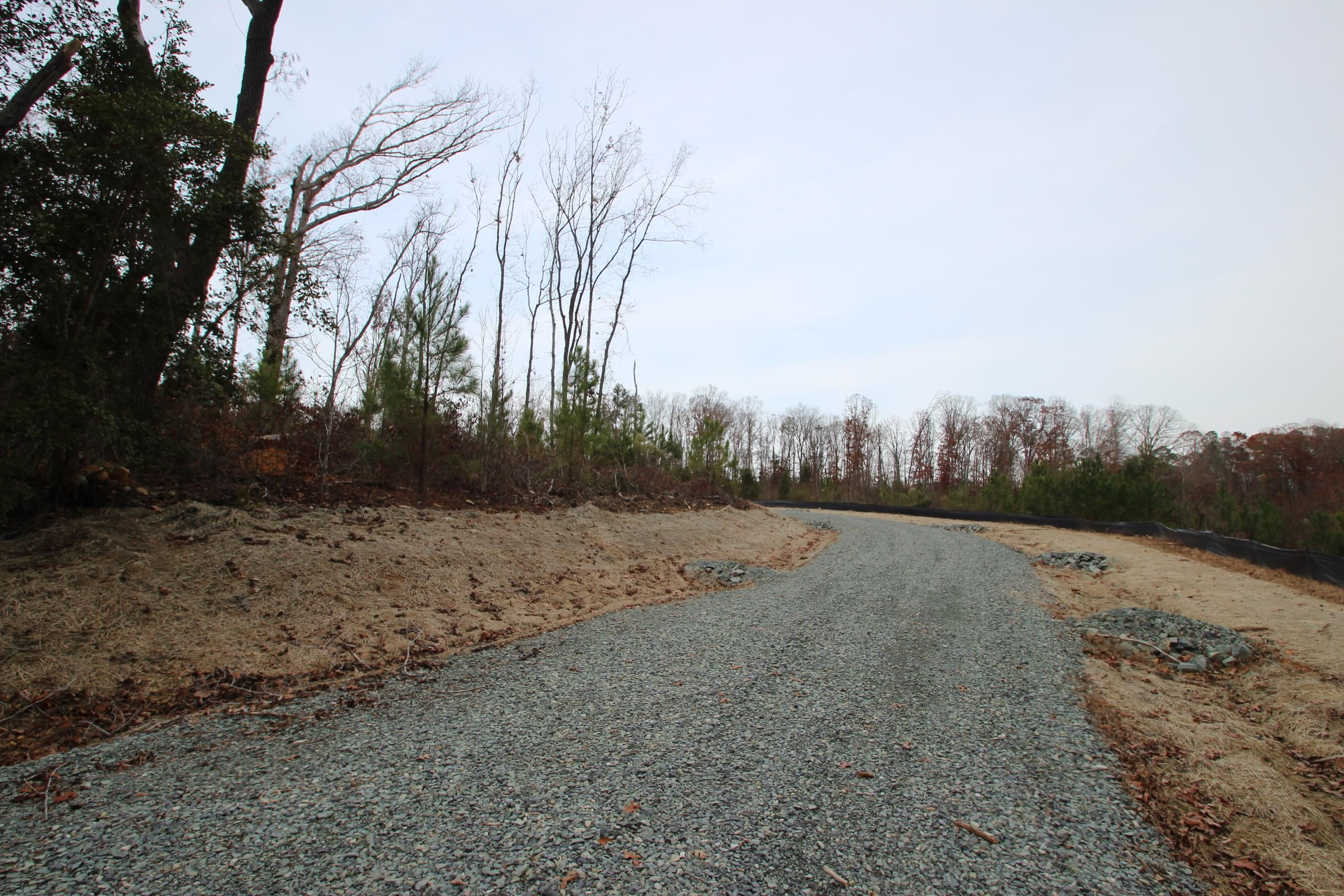78 Scott Ridge Drive Pittsboro, NC 27312 - Photo 21 of 22 a view of dirt yard with large trees