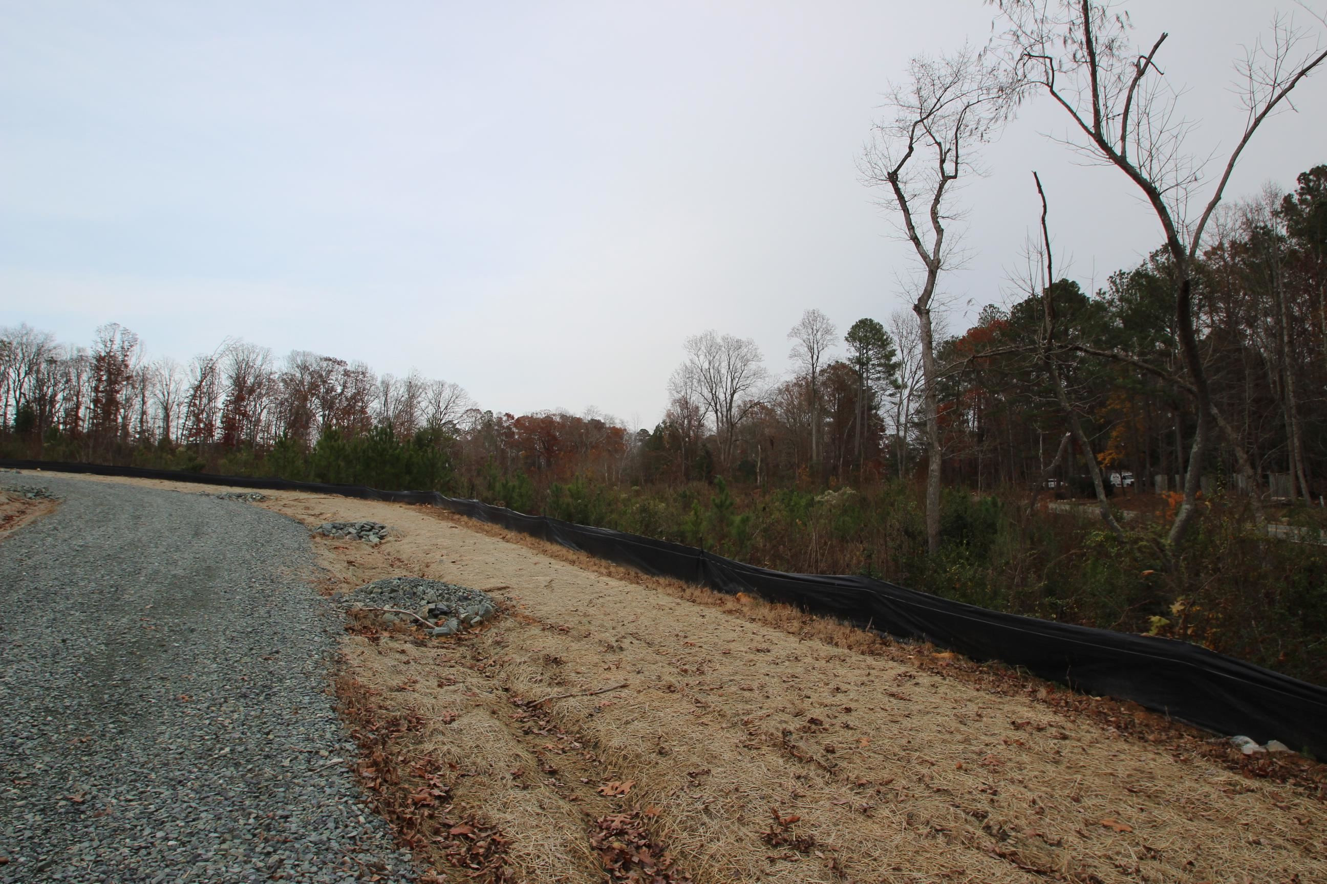 78 Scott Ridge Drive Pittsboro, NC 27312 - Photo 22 of 22 a view of a backyard of the house