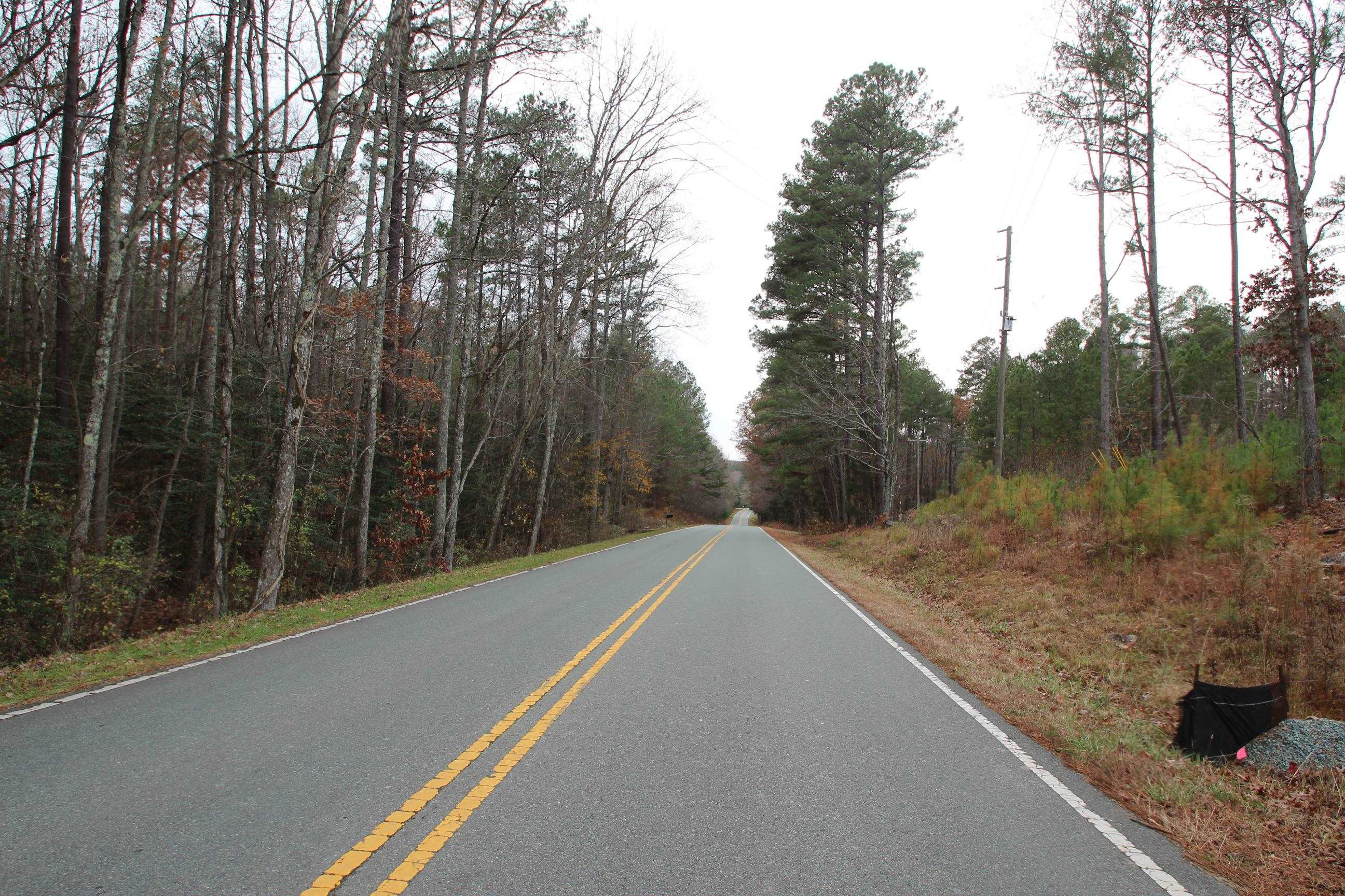 78 Scott Ridge Drive Pittsboro, NC 27312 - Photo 3 of 22 a view of a forest with a tree