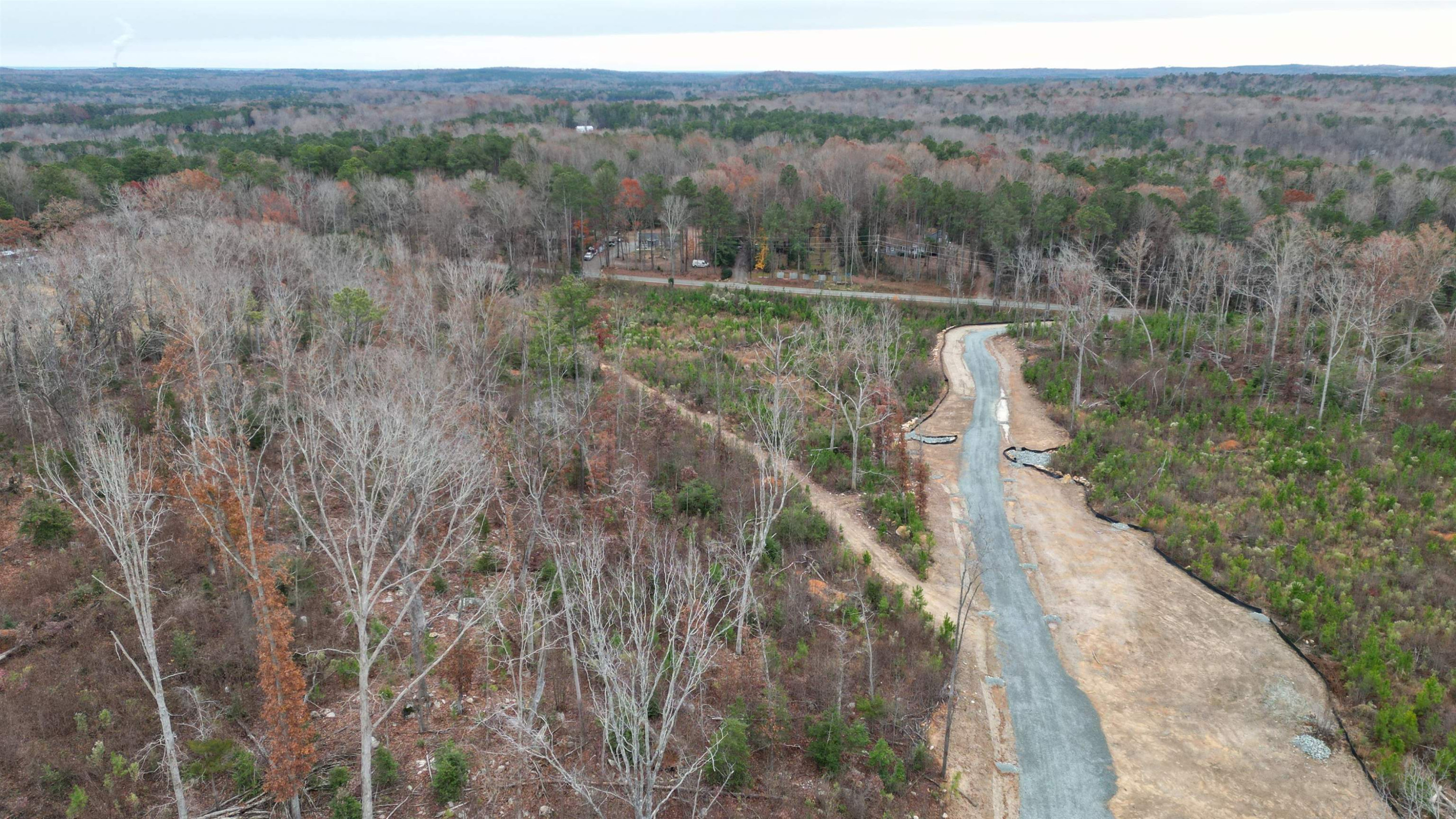 78 Scott Ridge Drive Pittsboro, NC 27312 - Photo 5 of 22 a view of a forest with a forest