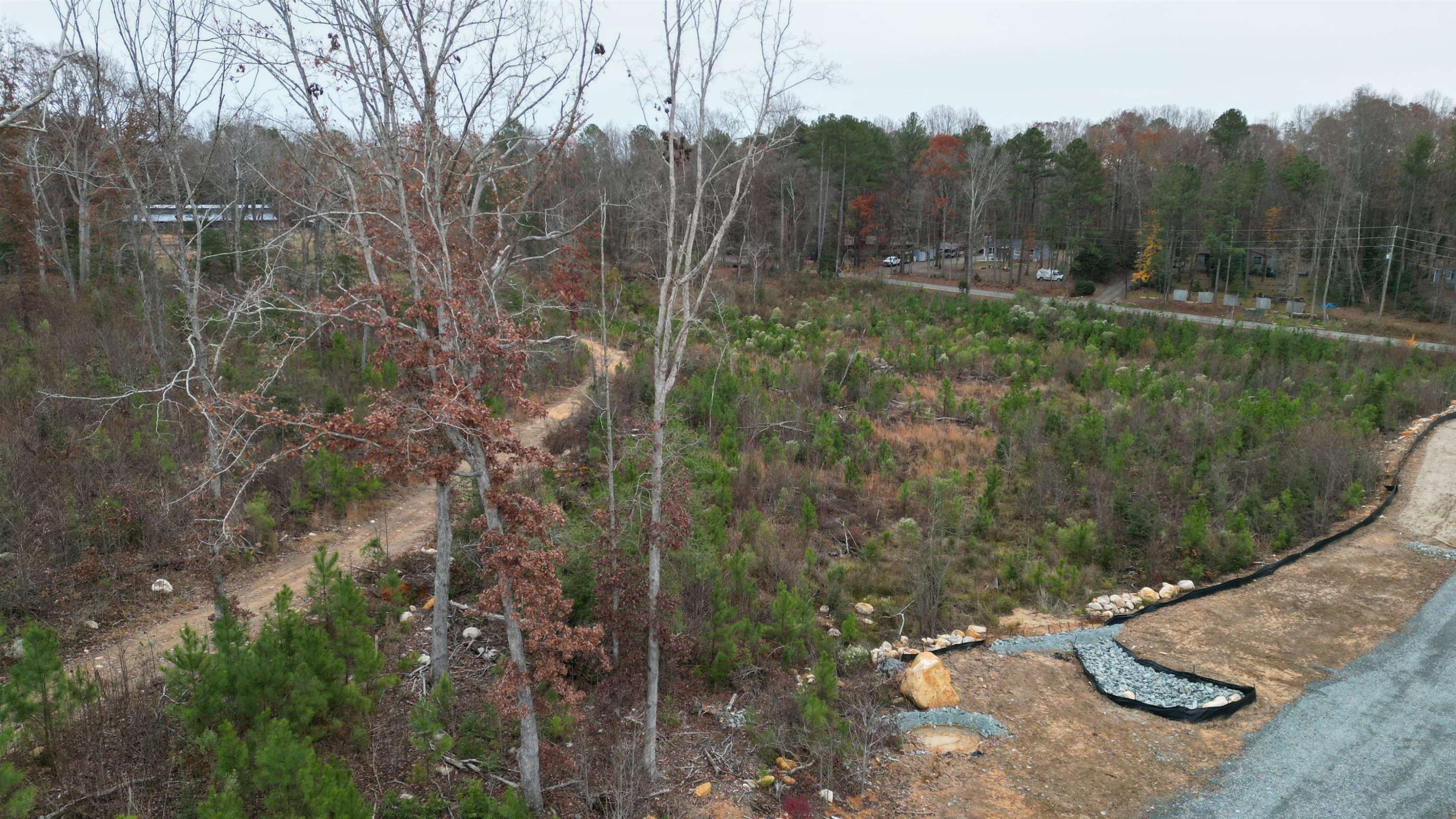 78 Scott Ridge Drive Pittsboro, NC 27312 - Photo 8 of 22 a view of a forest with a trees