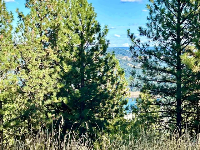 $259,900 | 1510 Summitview Drive, Ahsahka, ID 83520