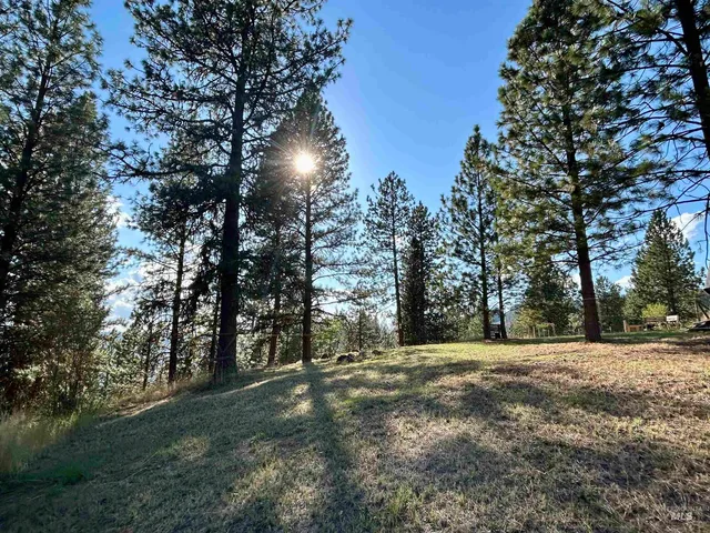 $259,900 | 1510 Summitview Drive, Ahsahka, ID 83520