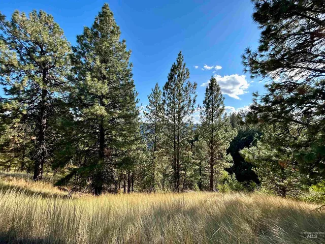 $259,900 | 1510 Summitview Drive, Ahsahka, ID 83520