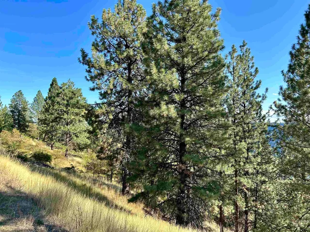 $259,900 | 1510 Summitview Drive, Ahsahka, ID 83520