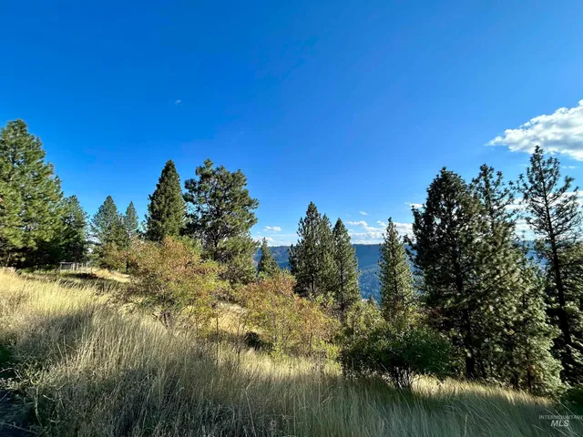 $259,900 | 1510 Summitview Drive, Ahsahka, ID 83520