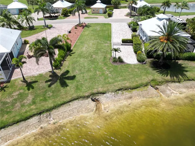 a view of a yard with plants