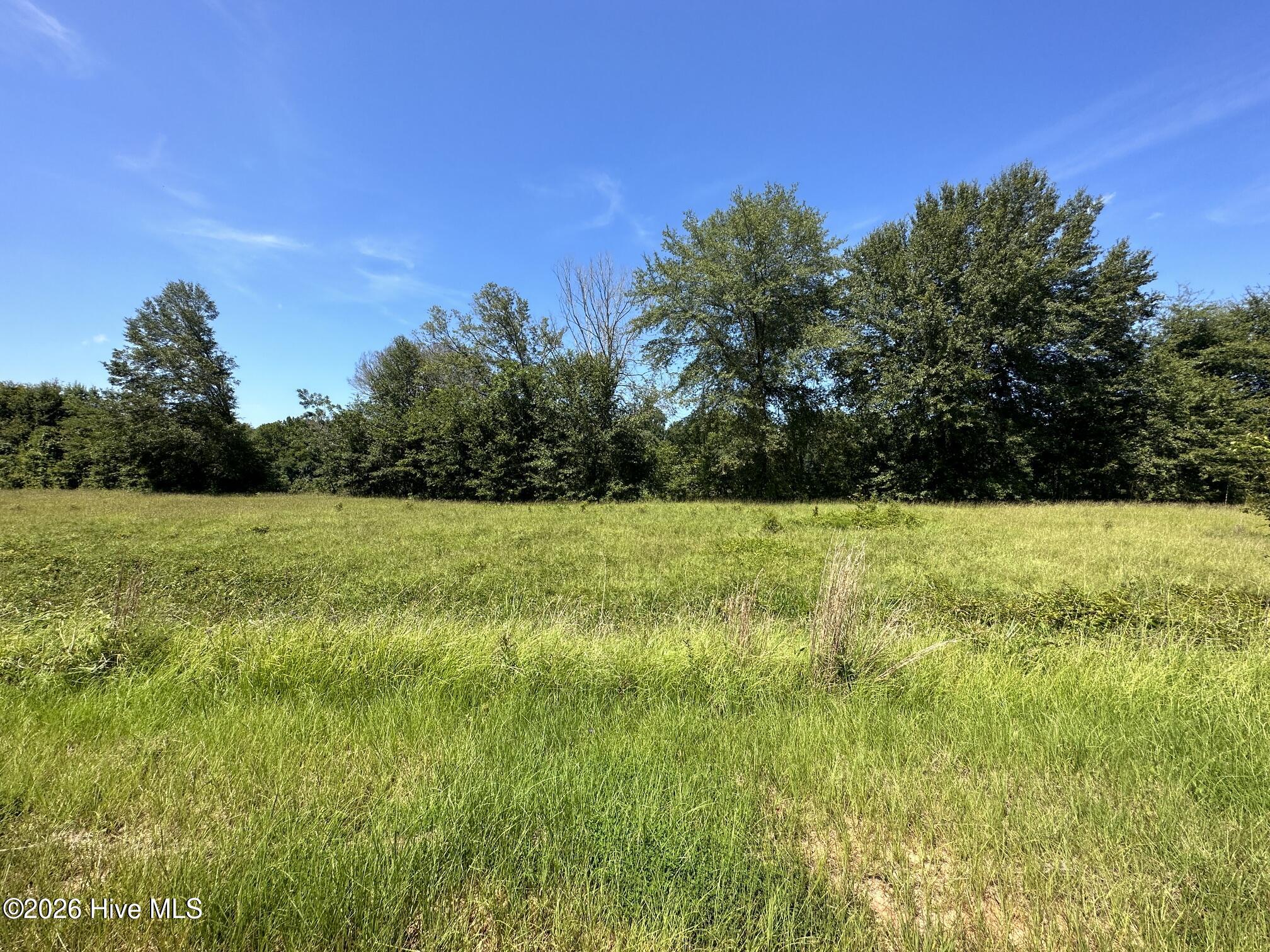 383 Rivers Run Waynesboro, GA 30830 - Photo 8 of 16