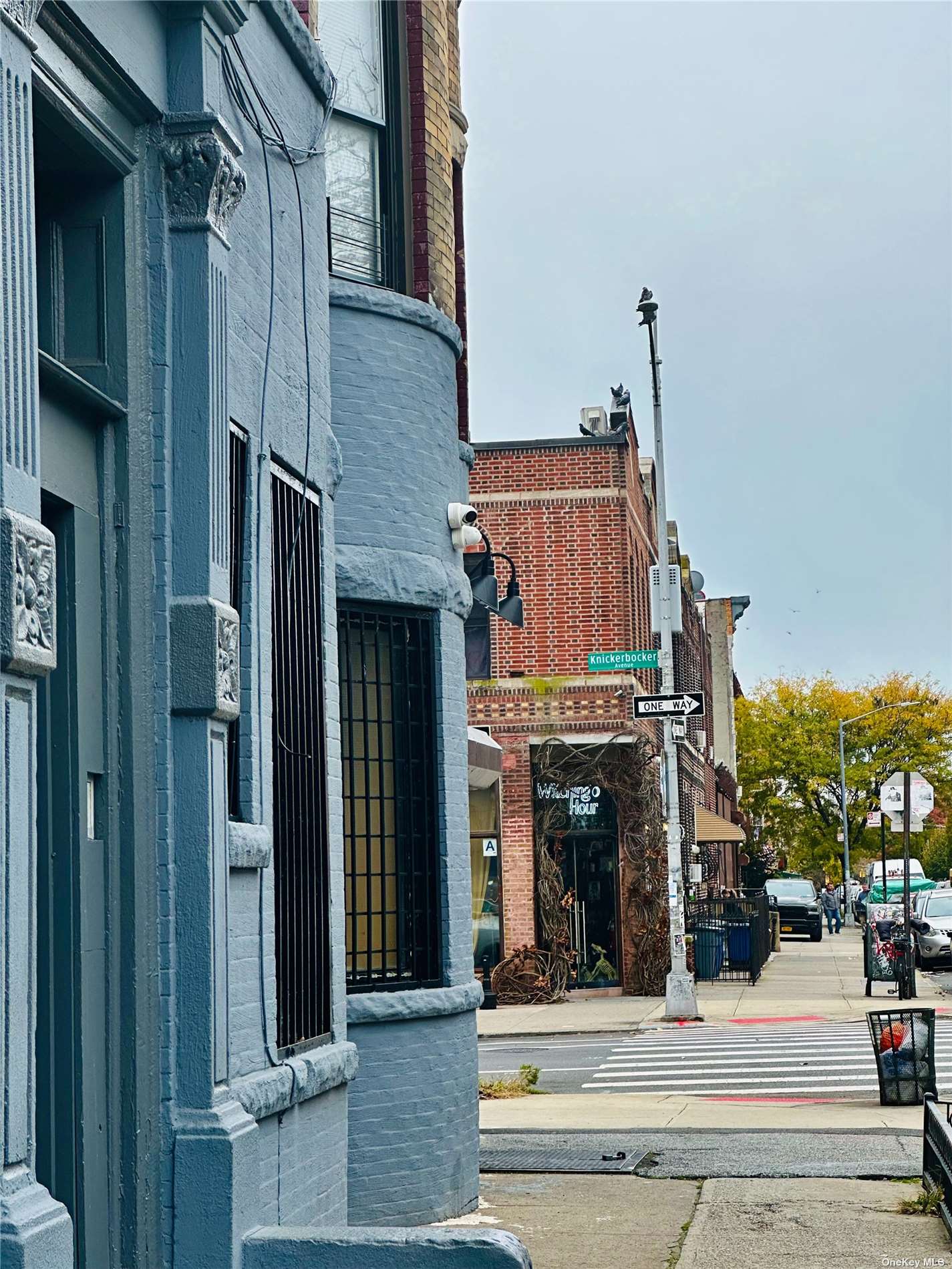 879 Knickerbocker Avenue Brooklyn, NY 11207 - Photo 3 of 21
