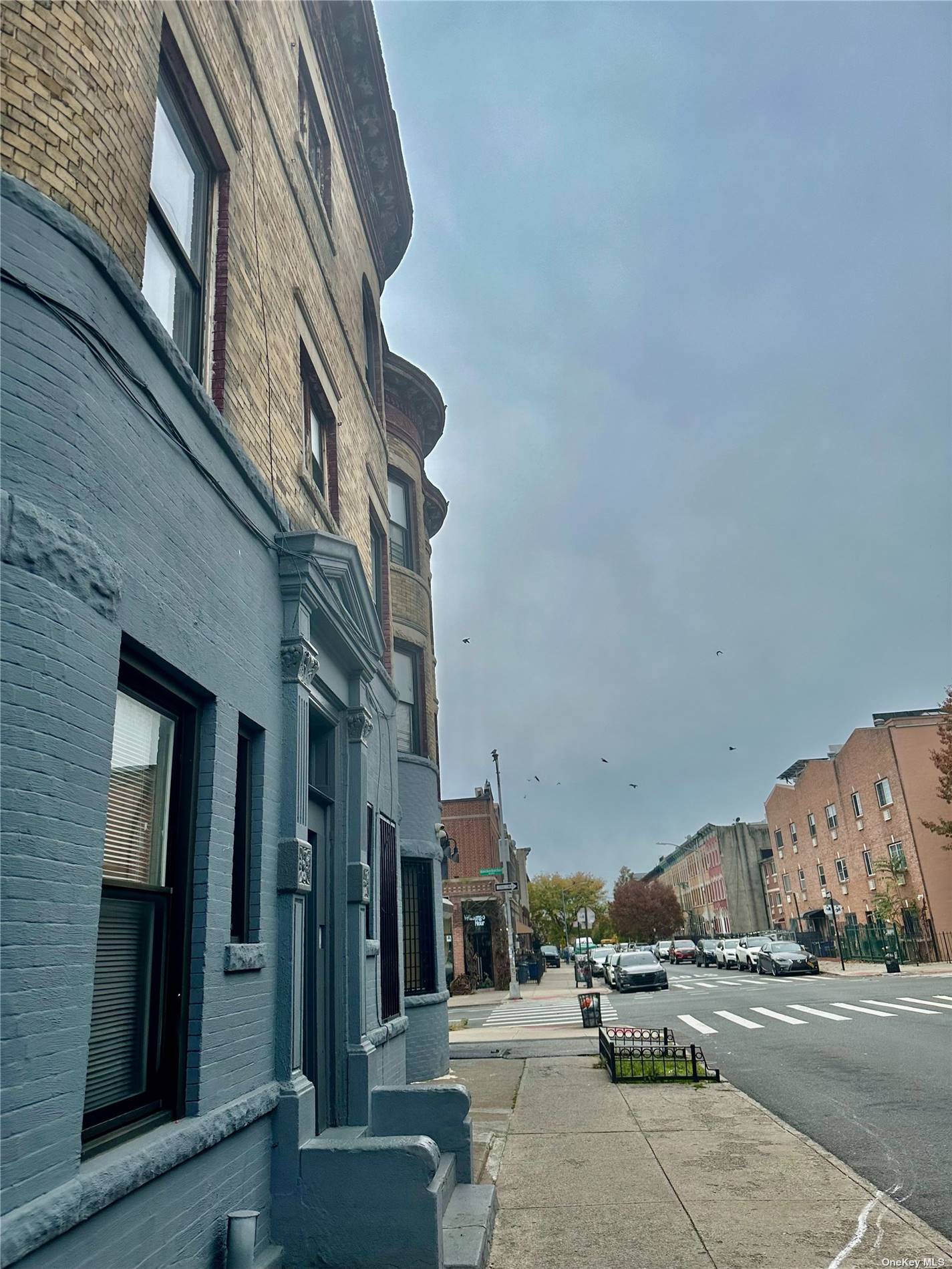 879 Knickerbocker Avenue Brooklyn, NY 11207 - Photo 4 of 21