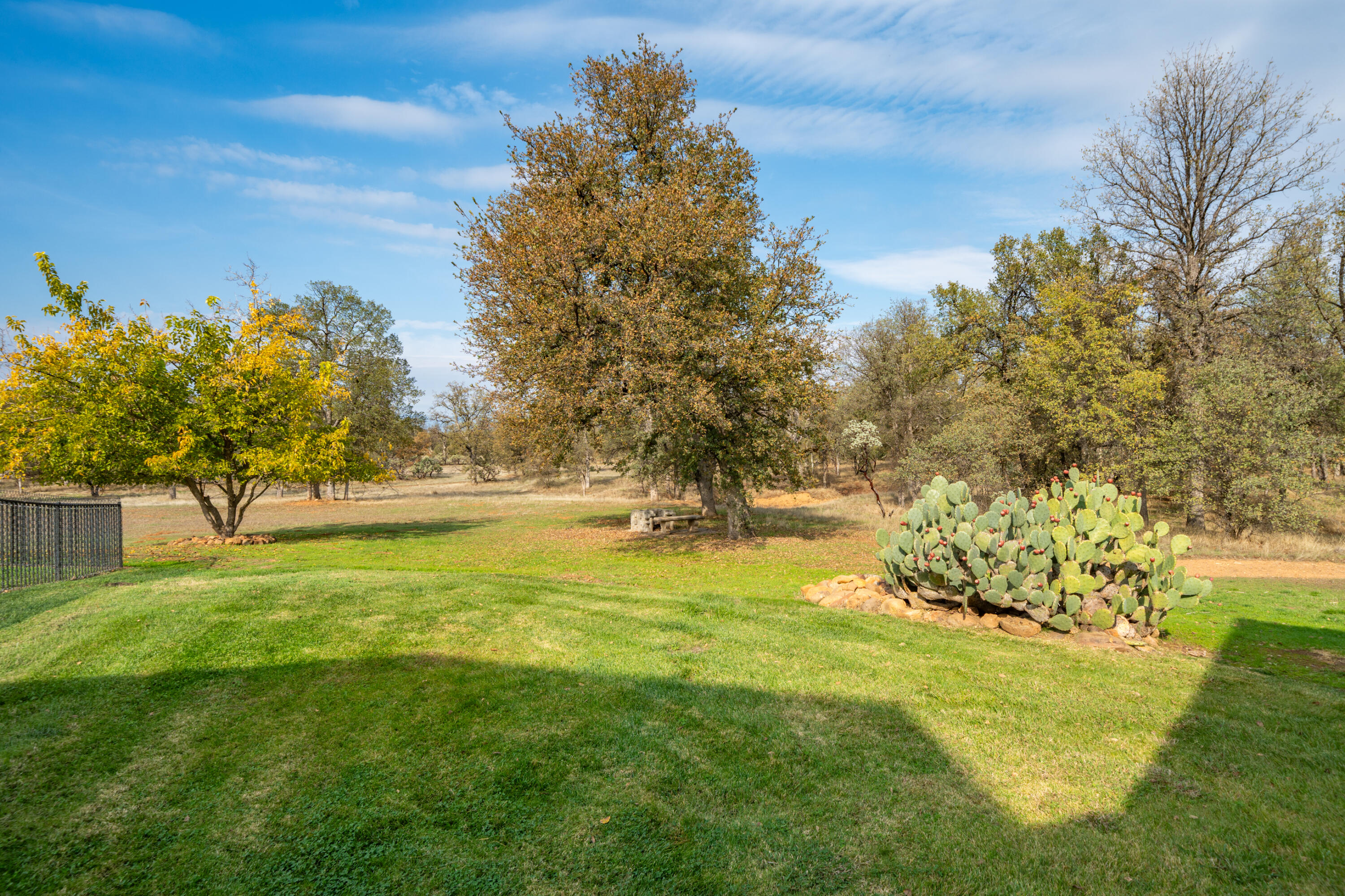 8180 Whispering Oaks Road Redding, CA 96002 - Photo 68 of 100 LAWN NEAR GARAGE