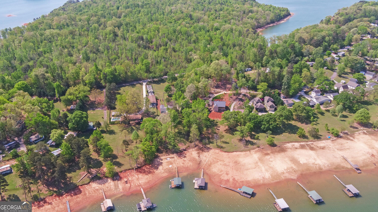 809 Glenn Ferry Road Fair Play, SC 29643 - Photo 73 of 78 a view of a garden with plants and large trees