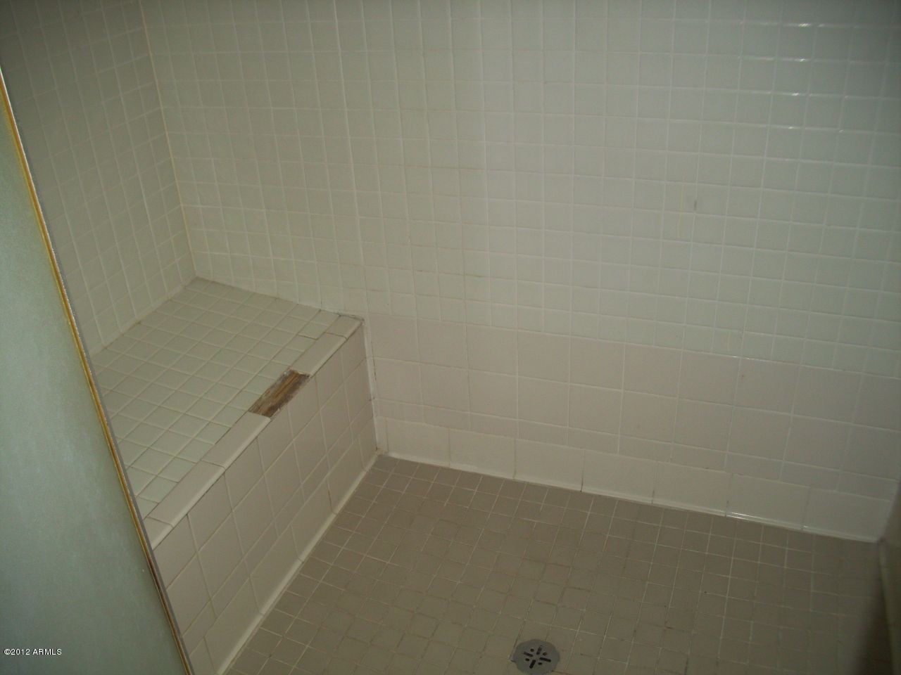 1528 West Roeser Road Phoenix, AZ 85041 - Photo 24 of 25 C:\fakepath\shower