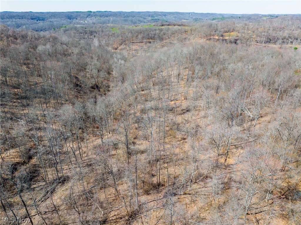 Sheepskin Ridge Road Lower Salem, OH 45745 - Photo 45 of 50 Aerial view of a heavily wooded area