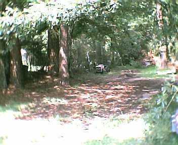 Primary Photo