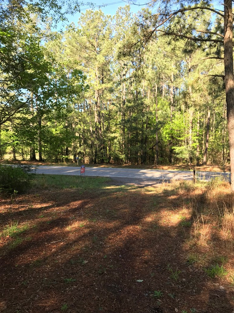 3495 Martintown Road Edgefield, SC 29824 - Photo 20 of 20