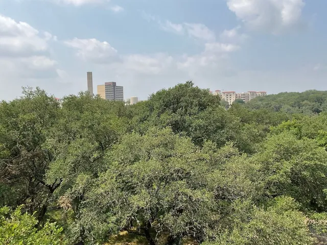 $219,000 | 1013 Chestnut Street, Unit BUILDING C 5, San Marcos, TX 78666