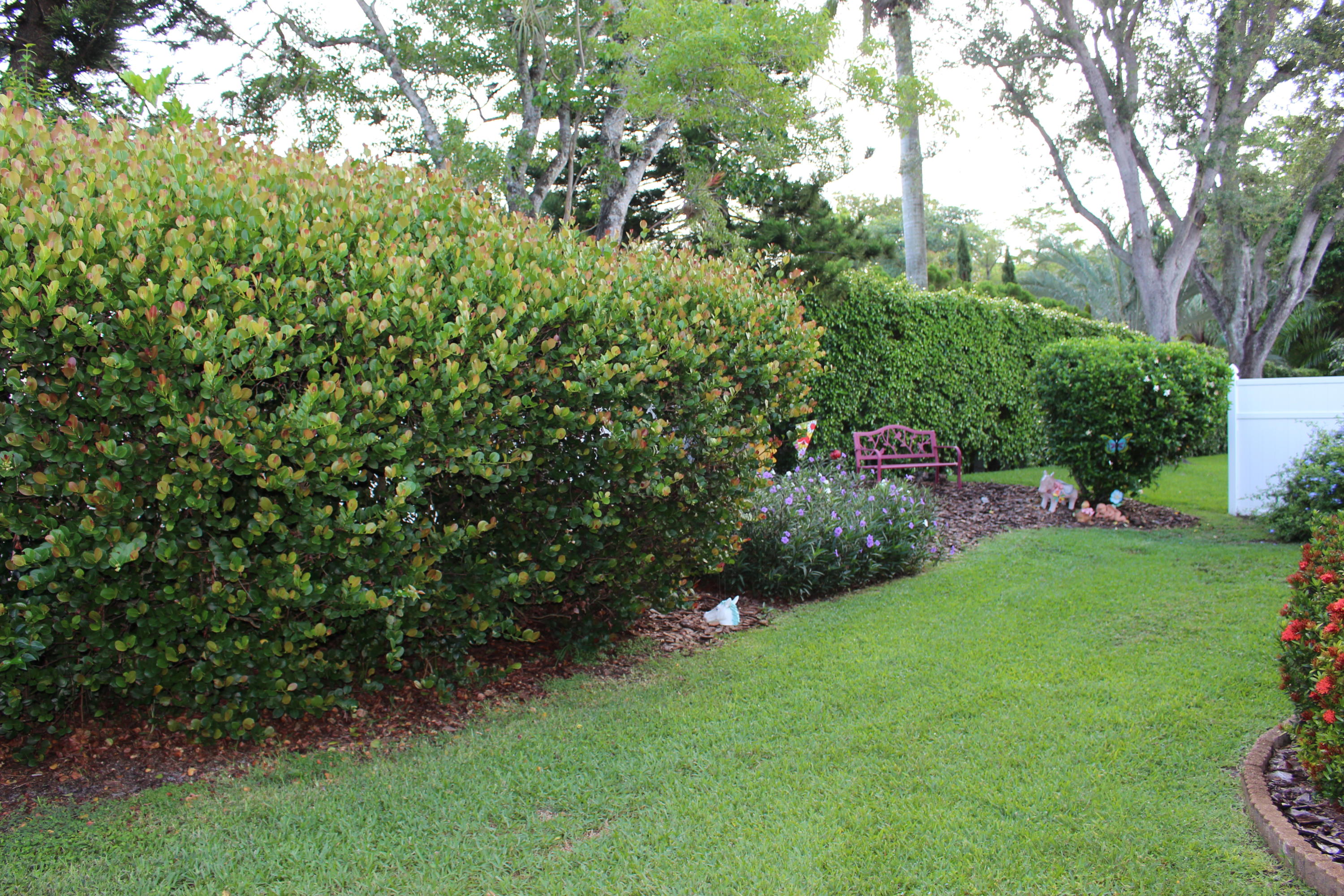 10001 Country Brook Road Boca Raton, FL 33428 - Photo 3 of 20 2021-06-02 20.29.58