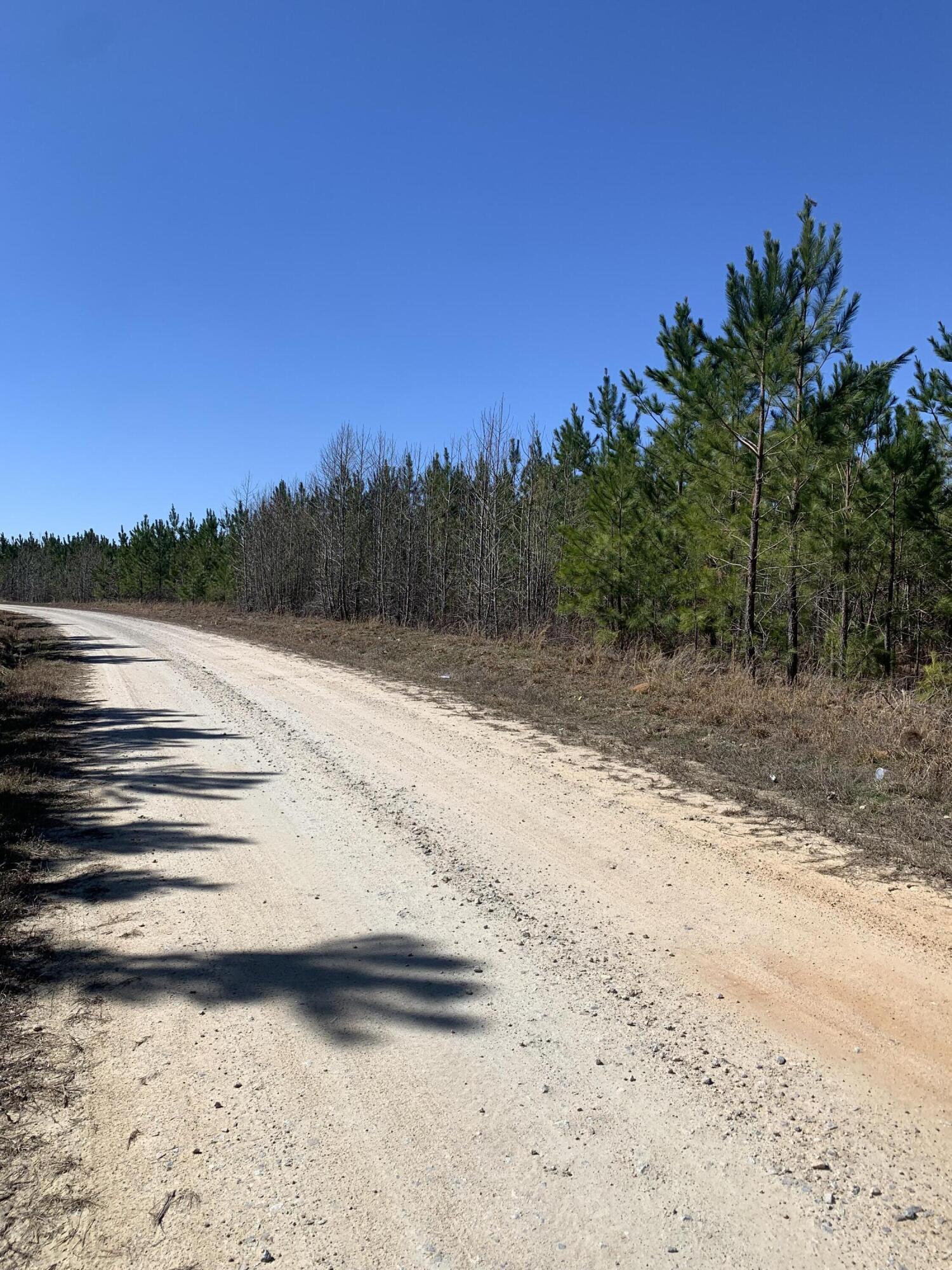 36 Moton Moore Road McCormick, SC 29835 - Photo 2 of 8 45 t
