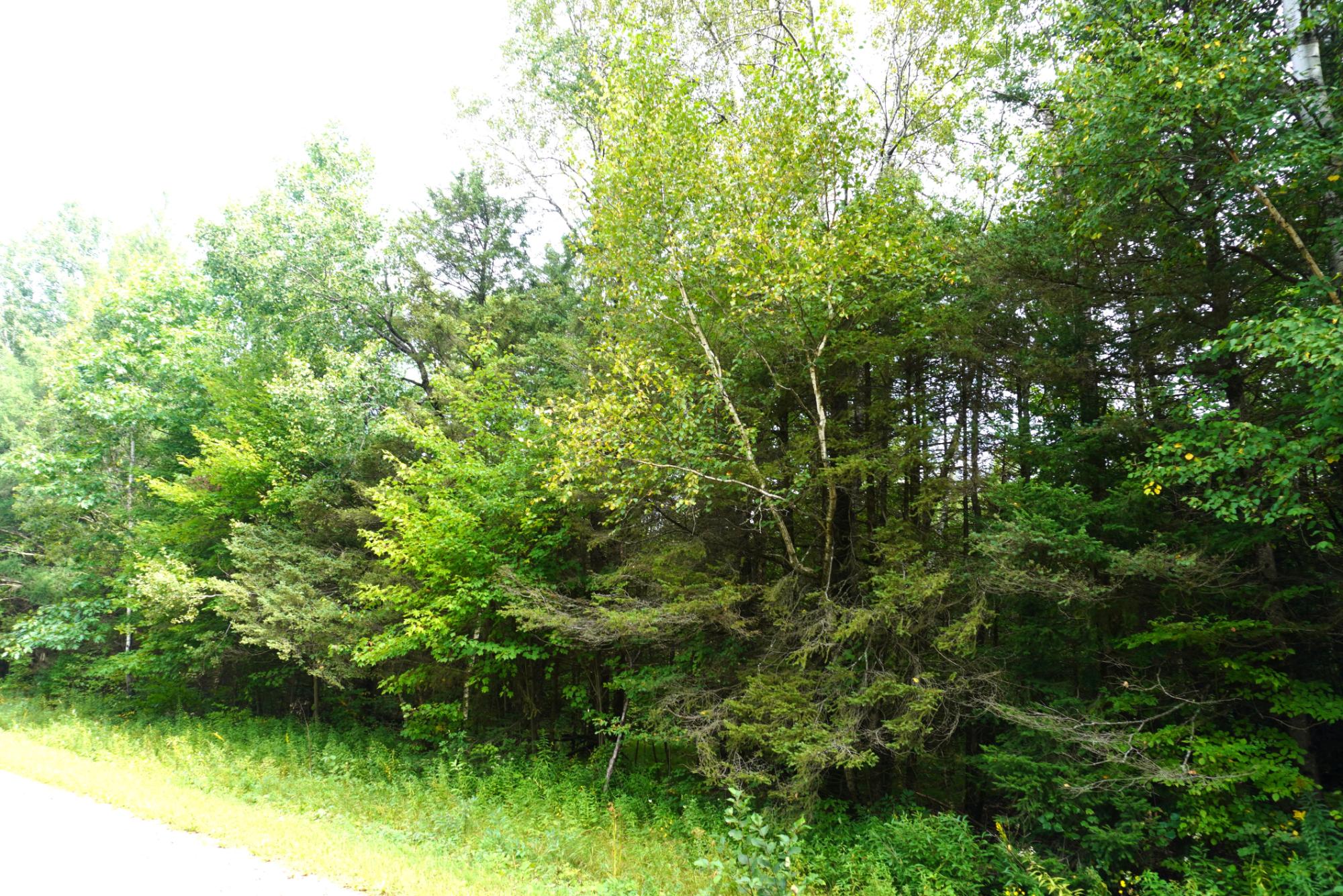 S-20-ac Rangeline Road Deerbrook, WI 54424 - Photo 3 of 3 Gallery Image 3