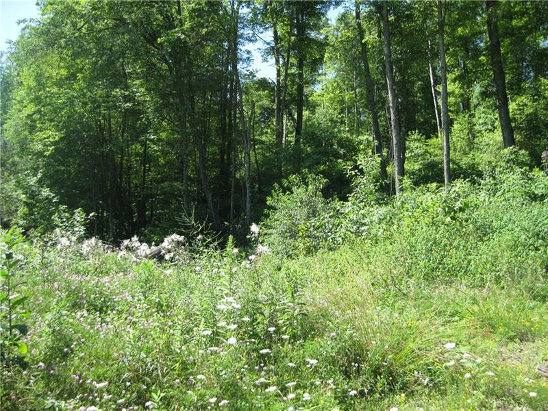 Lot6 B Oneida Valley Road Butler, PA 16001 - Photo 2 of 4
