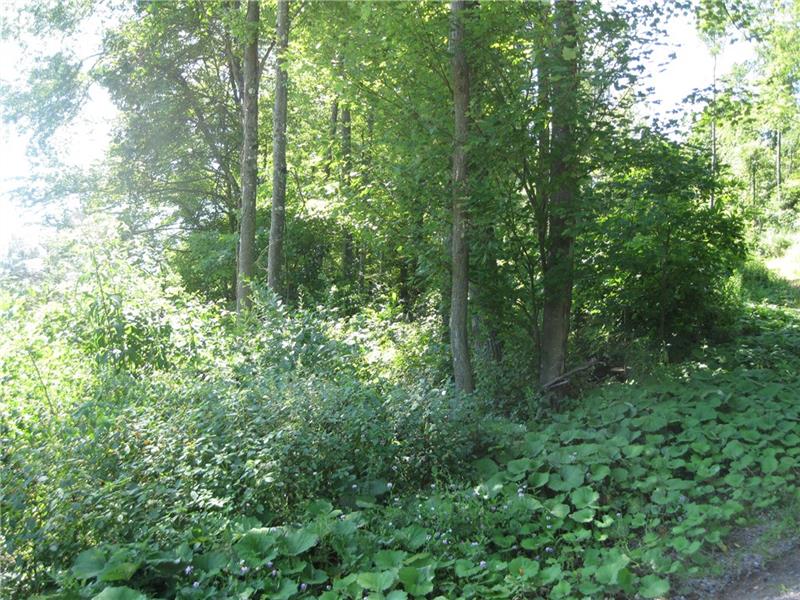 Lot6 B Oneida Valley Road Butler, PA 16001 - Photo 3 of 4