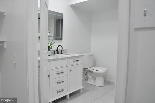 a close view of a sink and a potted plant on the counter