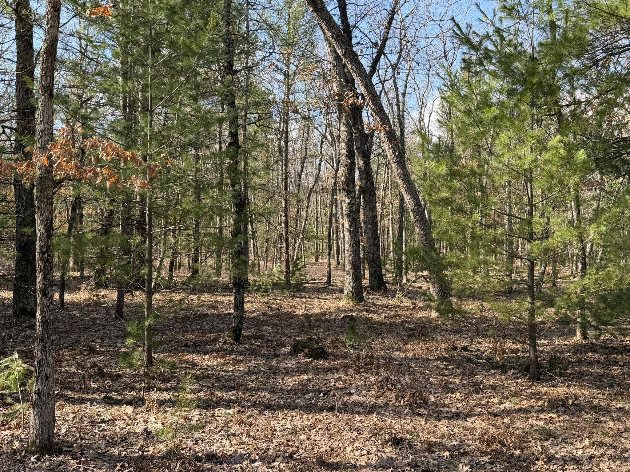 7363 Riverside Drive Manistee, MI 49660 - Photo 17 of 29 Facing South 2