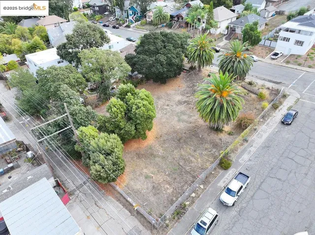 a view of a lot of plants and trees