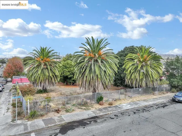 a view of outdoor space with palm trees