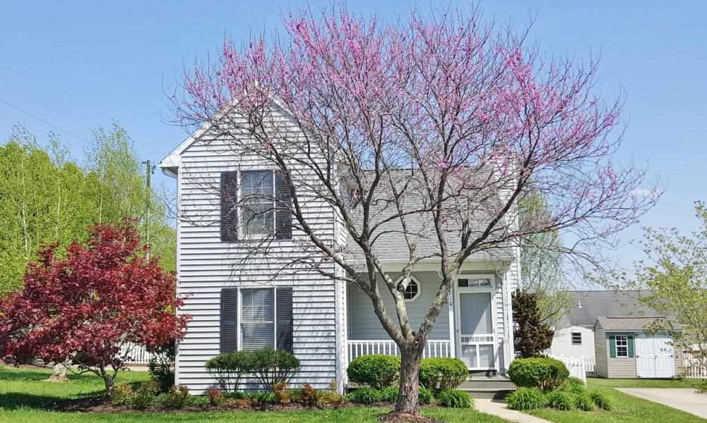 210 Alum Springs Road Lexington, VA 24450 - Photo 1 of 16 Gallery Image 1
