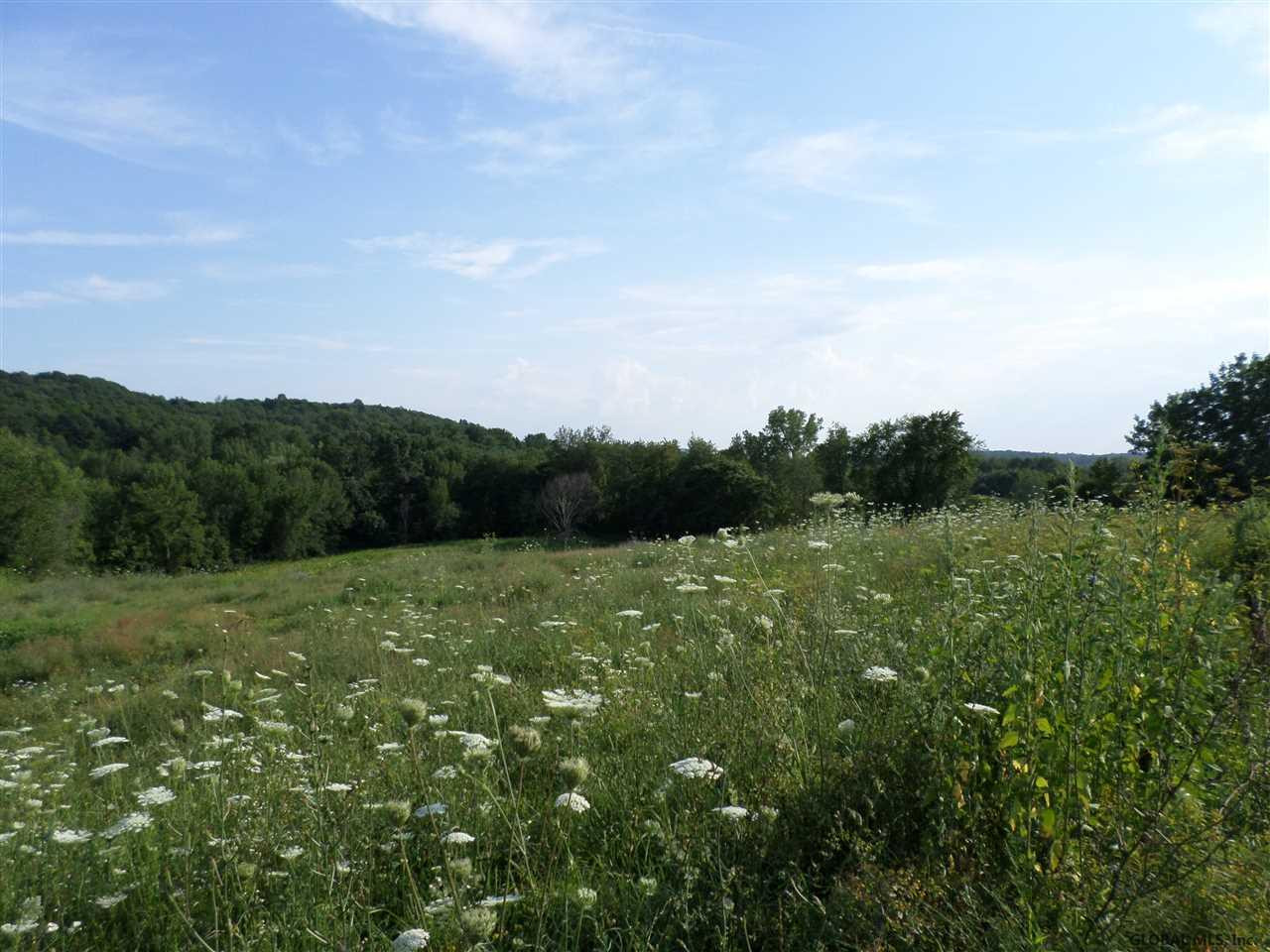 Spraguetown Road Greenwich, NY 12834 - Photo 6 of 6 Photo 6