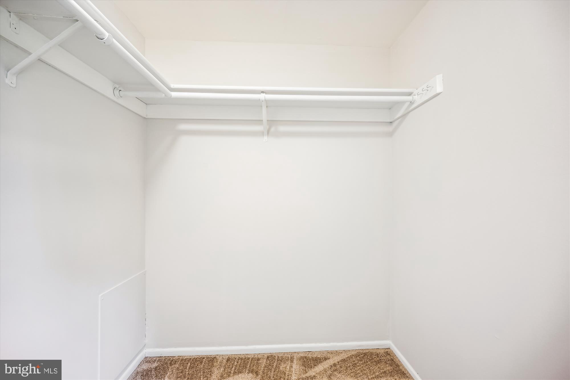 7040 Basswood Road, Unit 11 Frederick, MD 21703 - Photo 26 of 41 Primary Bedroom Walk-in Closet