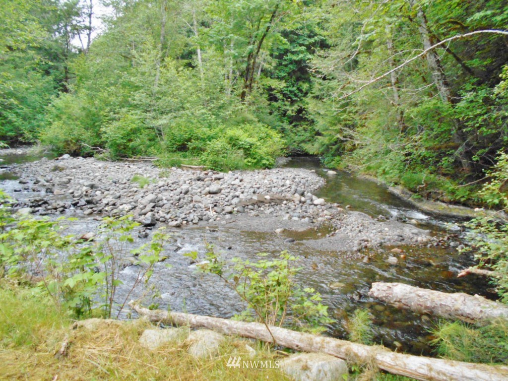 0 Fern Hollow Road Quilcene, WA 98376 - Photo 2 of 25