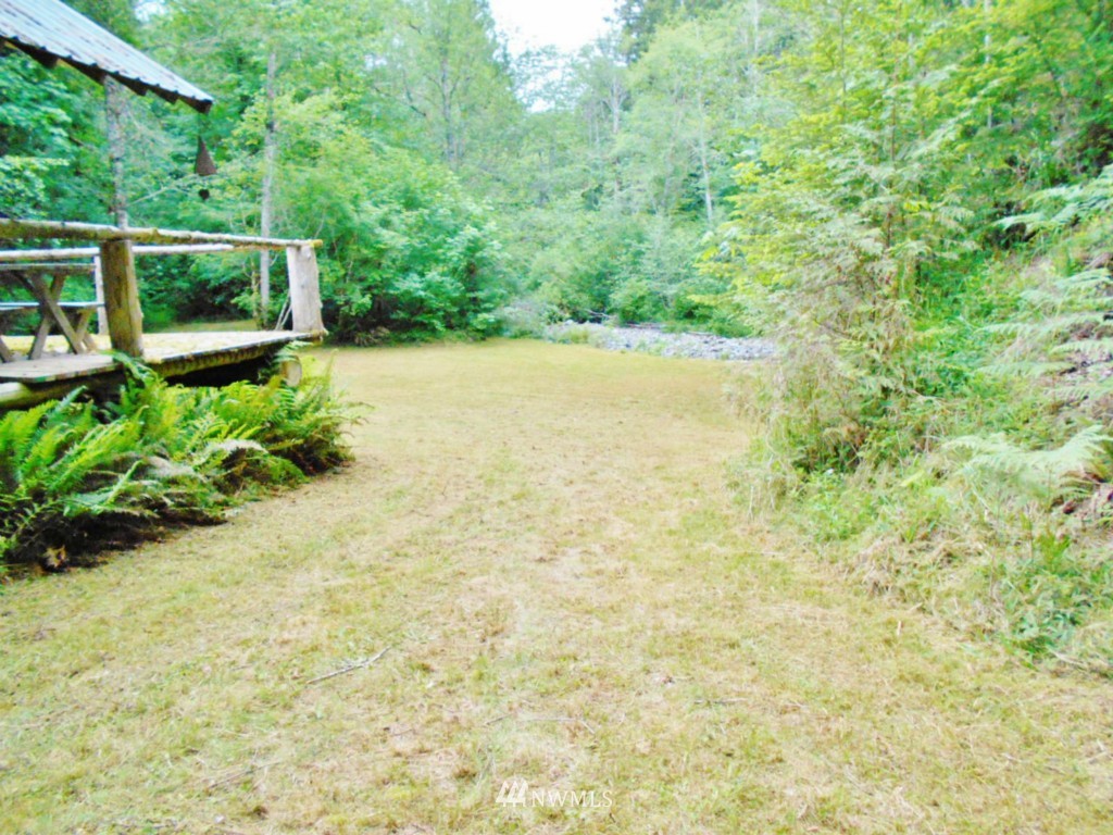 0 Fern Hollow Road Quilcene, WA 98376 - Photo 12 of 25