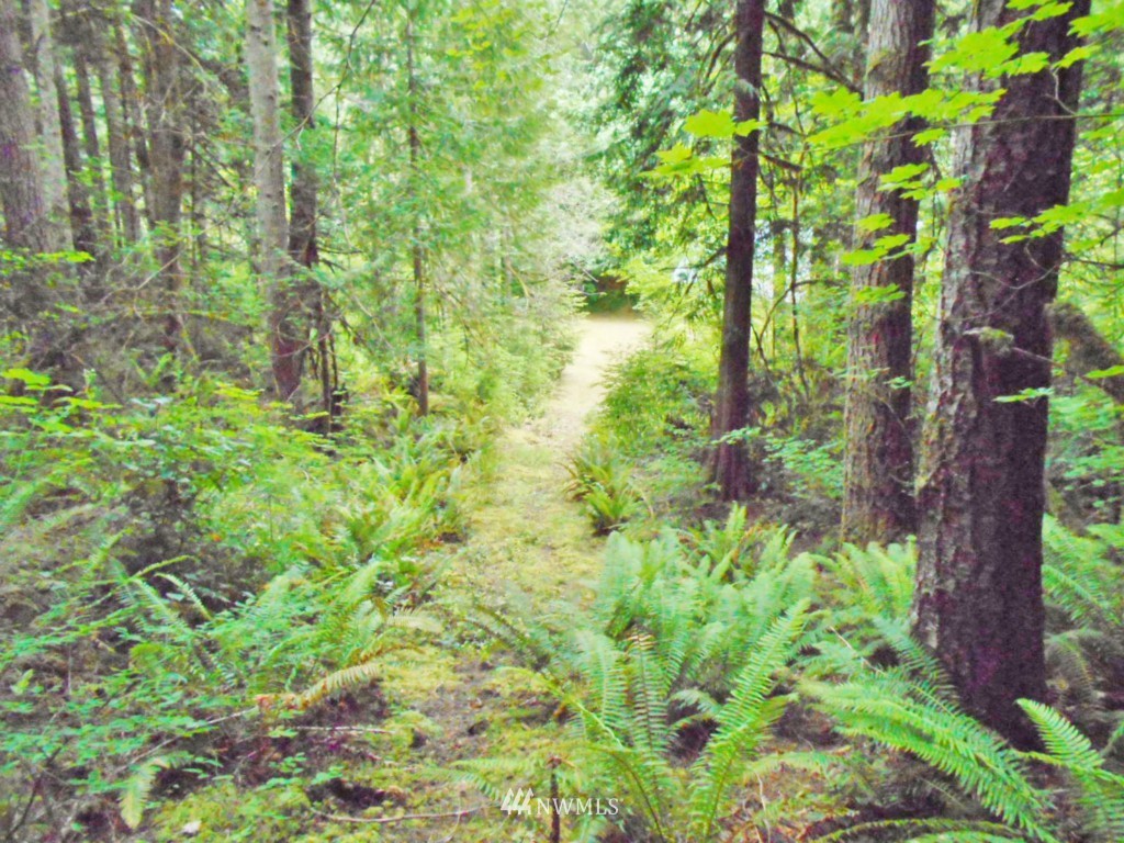 0 Fern Hollow Road Quilcene, WA 98376 - Photo 13 of 25