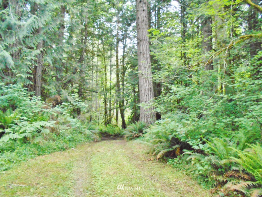 0 Fern Hollow Road Quilcene, WA 98376 - Photo 14 of 25