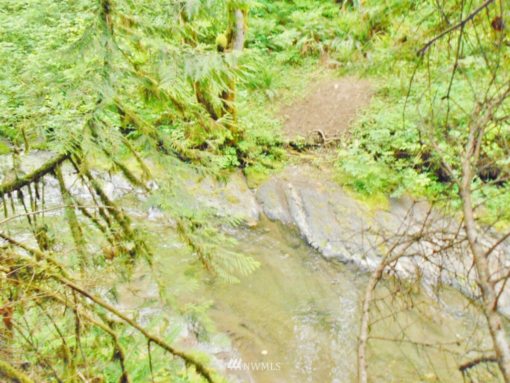 0 Fern Hollow Road Quilcene, WA 98376 - Photo 16 of 25