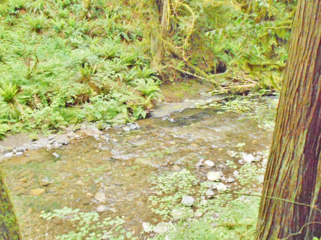 0 Fern Hollow Road Quilcene, WA 98376 - Photo 17 of 25