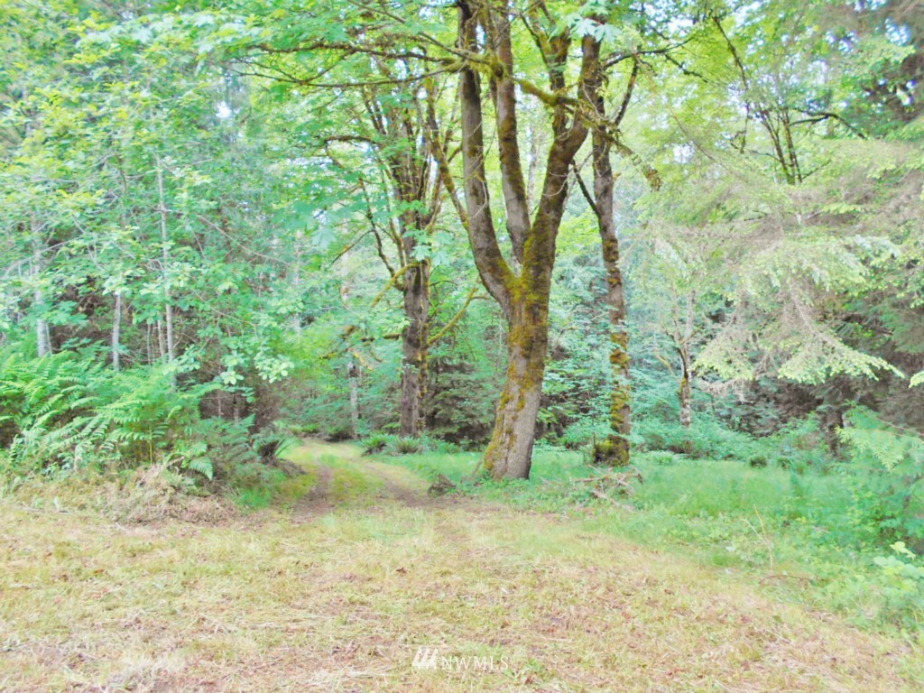 0 Fern Hollow Road Quilcene, WA 98376 - Photo 19 of 25