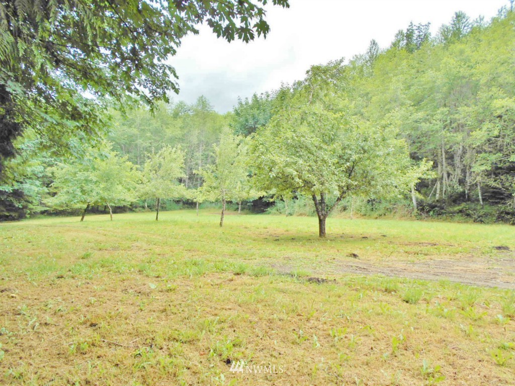 0 Fern Hollow Road Quilcene, WA 98376 - Photo 22 of 25
