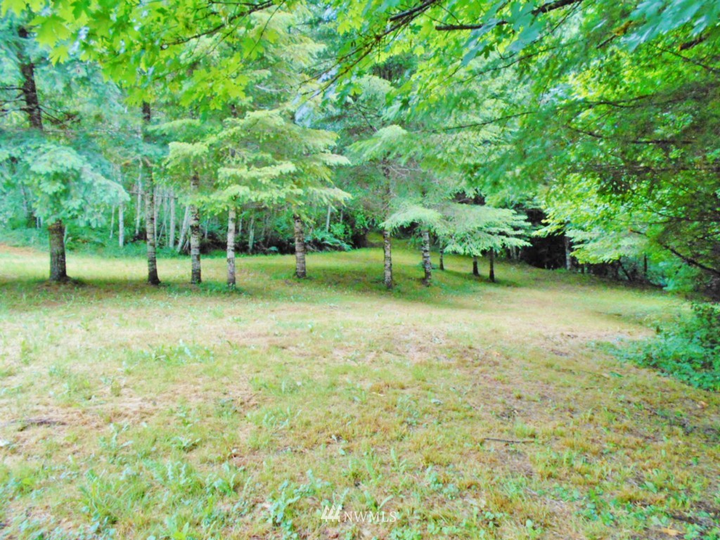 0 Fern Hollow Road Quilcene, WA 98376 - Photo 23 of 25