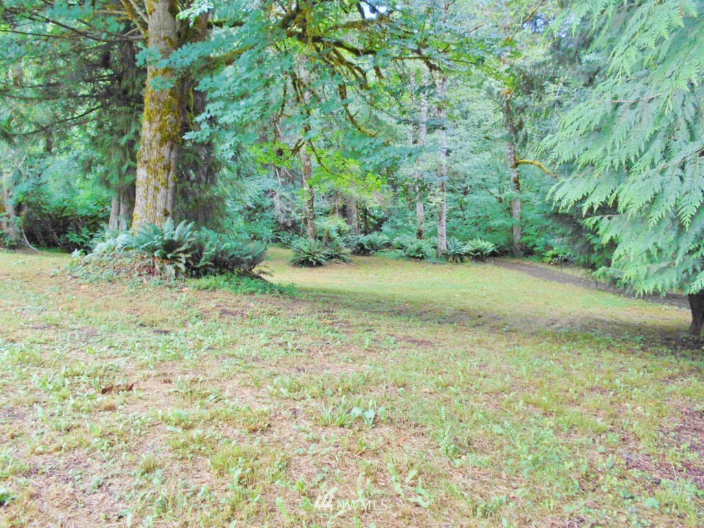 0 Fern Hollow Road Quilcene, WA 98376 - Photo 25 of 25