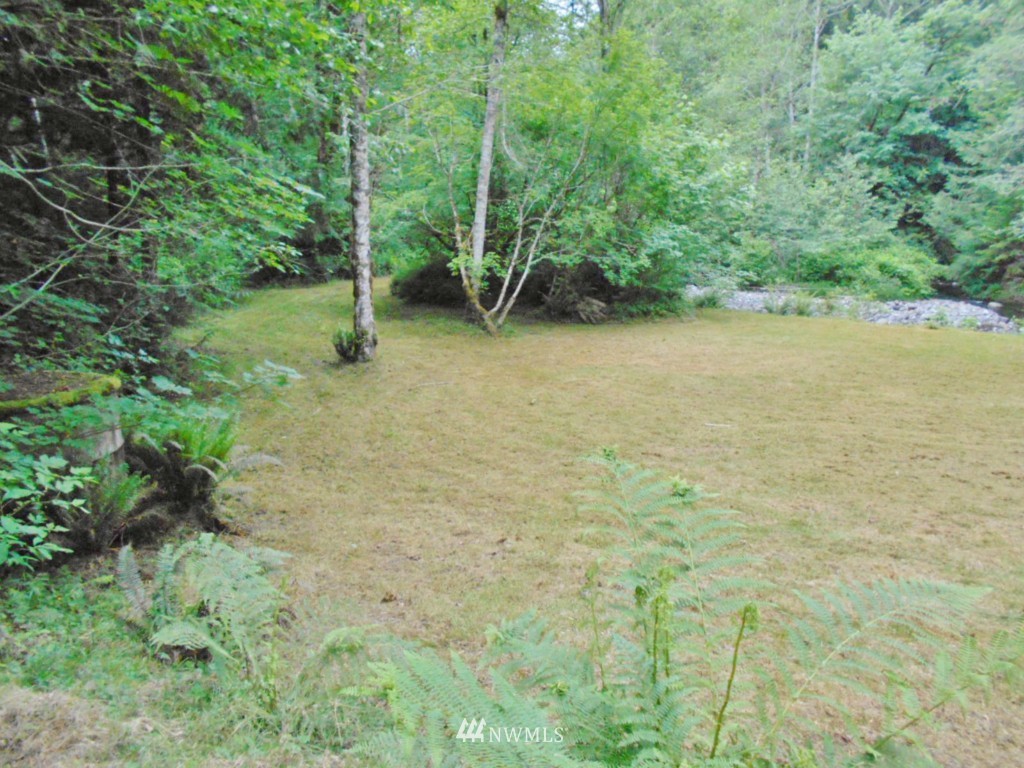 0 Fern Hollow Road Quilcene, WA 98376 - Photo 4 of 25
