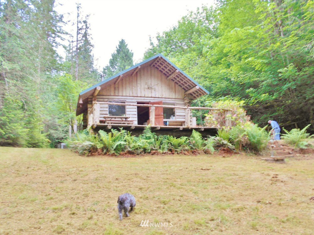0 Fern Hollow Road Quilcene, WA 98376 - Photo 6 of 25