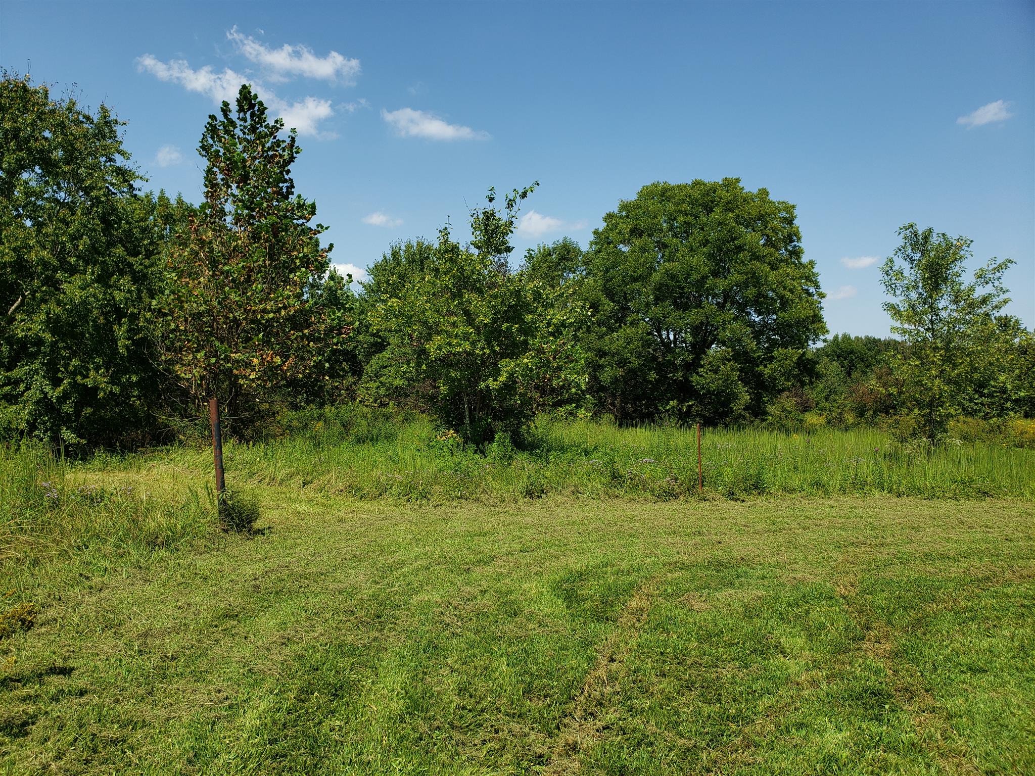 47 McAfee Road Morrison, TN 37357 - Photo 4 of 16