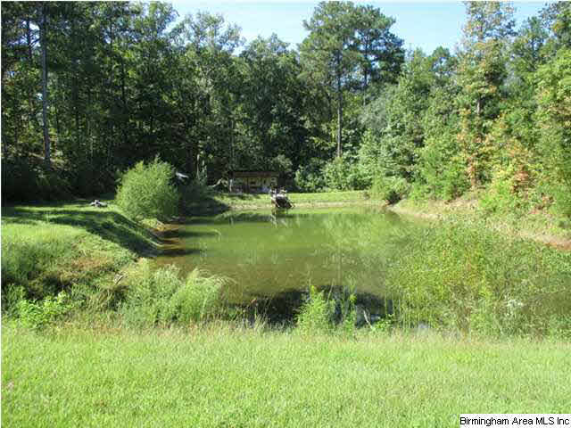 1082 Camp Winnataska Road Pell City, AL 35128 - Photo 3 of 14