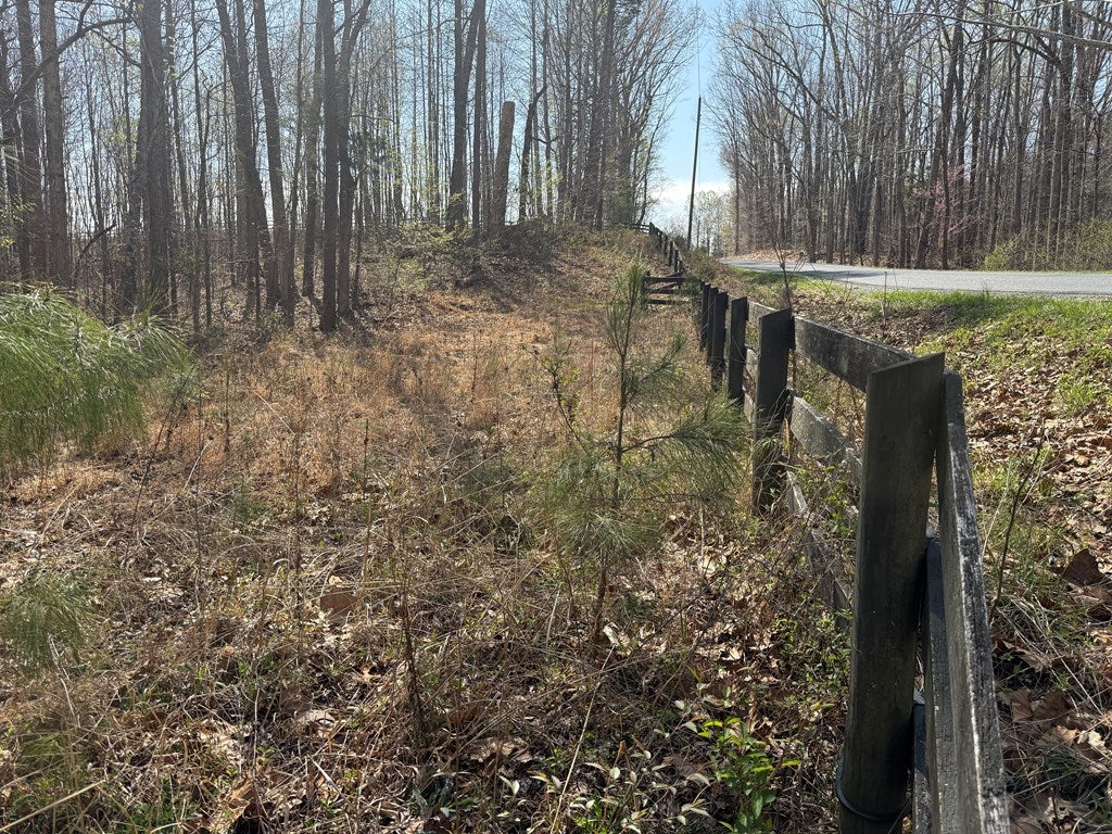 0 Sanders Creek Road Dillwyn, VA 23936 - Photo 5 of 15 Gallery Image 5