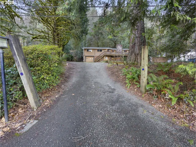 a view of a yard with plants and trees