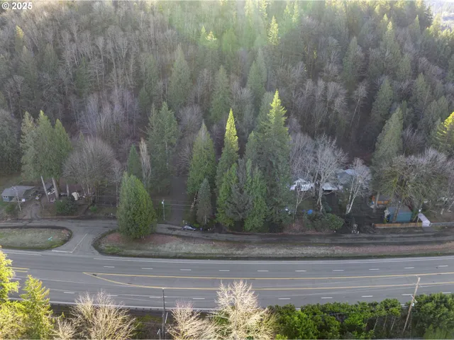a view of a yard with flower plants